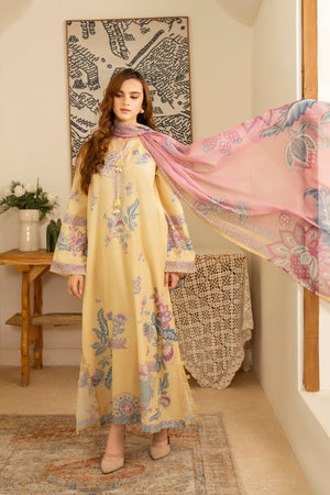 Dupatta & Trouser